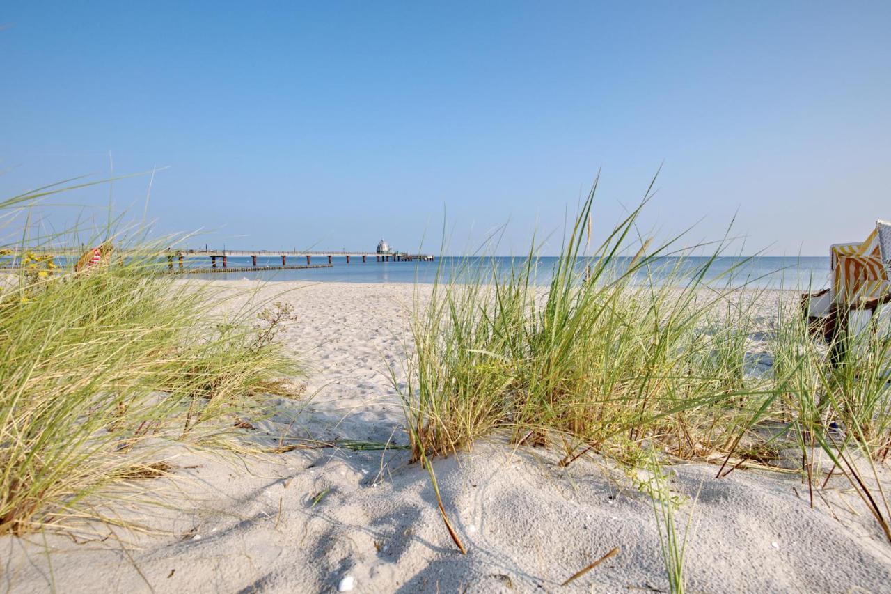Appartamento Traumhaus Unter Reet Zingst Esterno foto